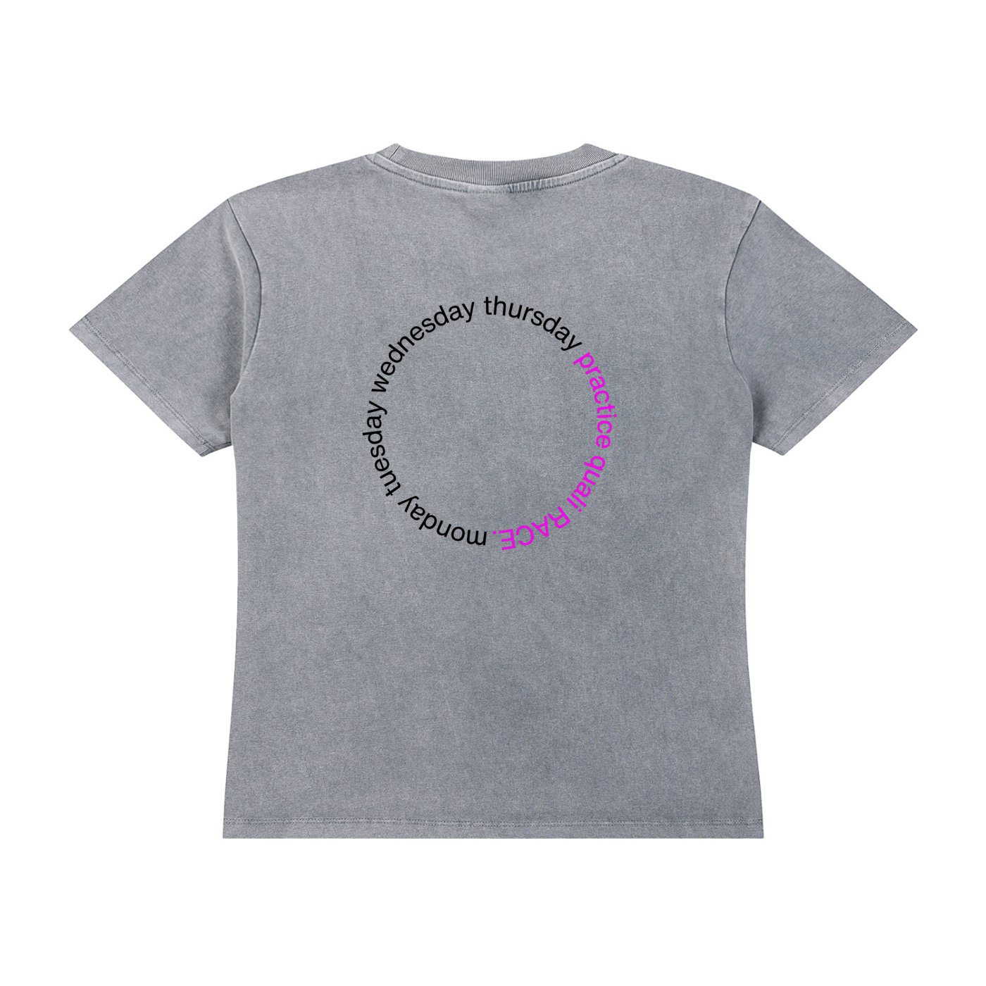 Box box box vintage wash tee in gray - back view - F1 women's t-shirt