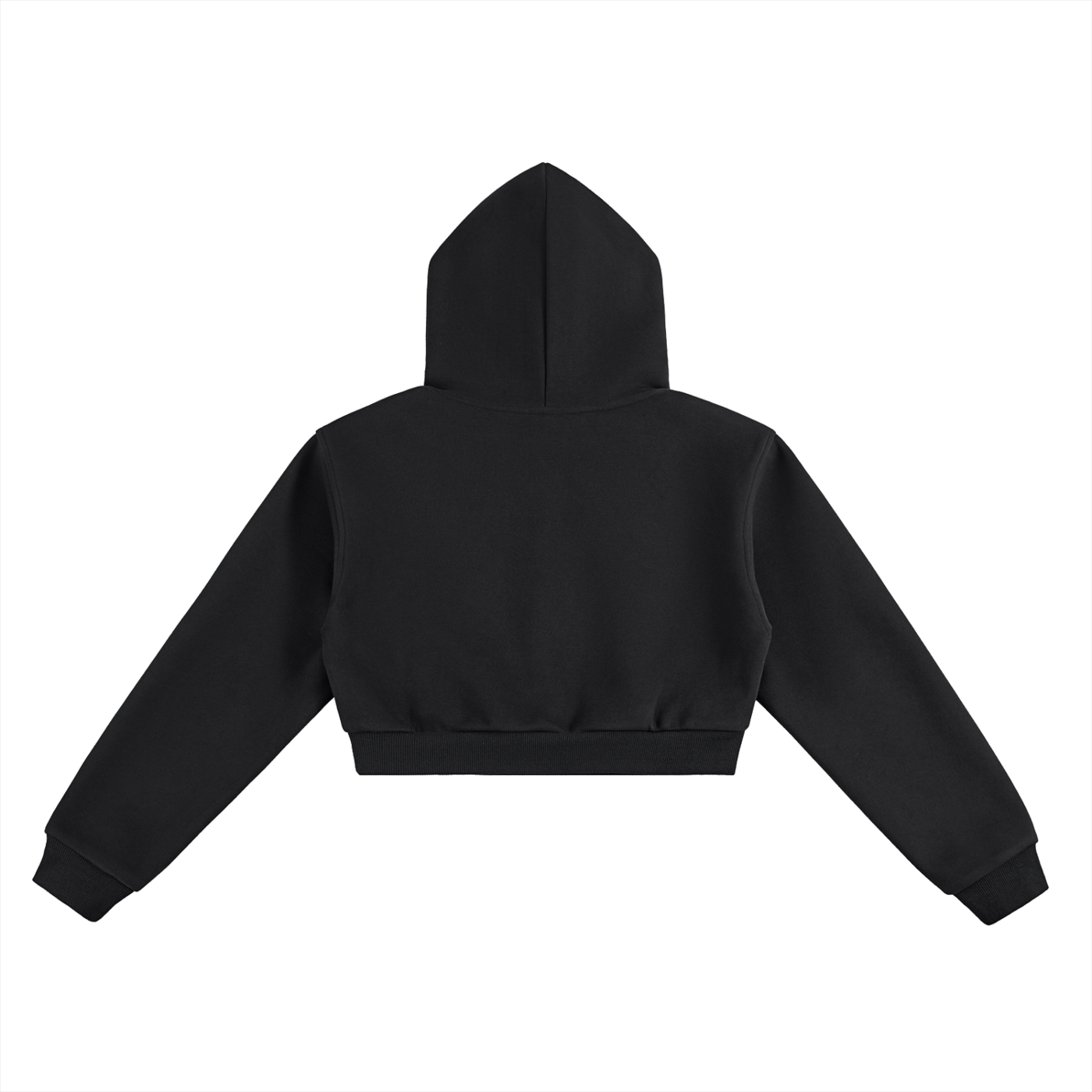 Ham 44 cropped hoodie in black - back view - F1 Lewis Hamilton women's hoodie